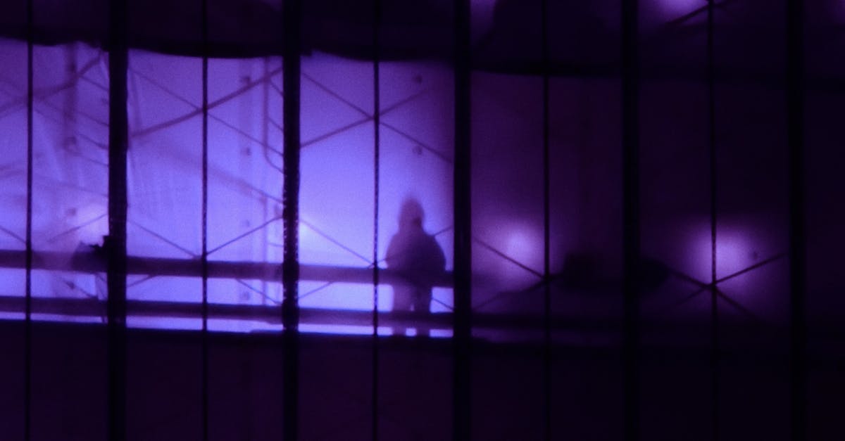 Carbon Window Tinting: A Sustainable Choice for Eco-Conscious Homeowners