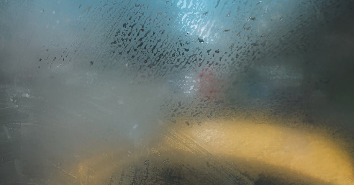 Choosing the Right Window Tint for Optimal Privacy Solutions