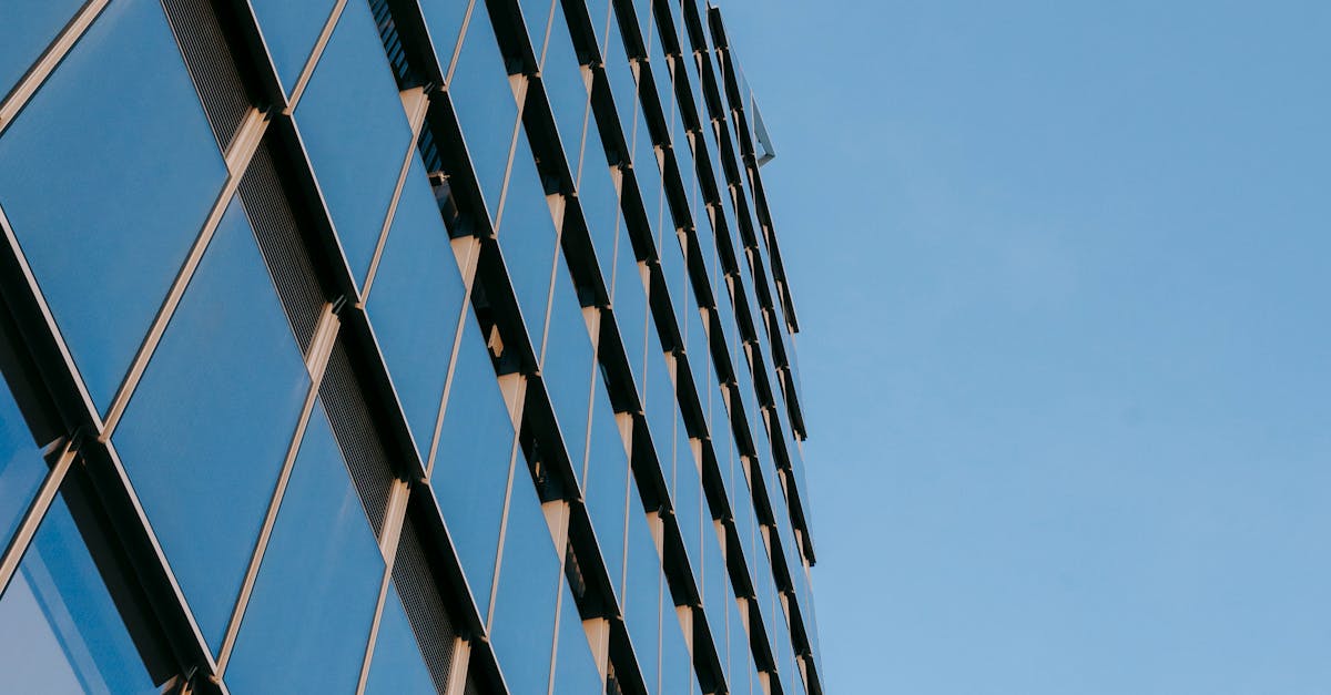 Comparing Heat Reduction Efficiency of Different Window Tinting Options