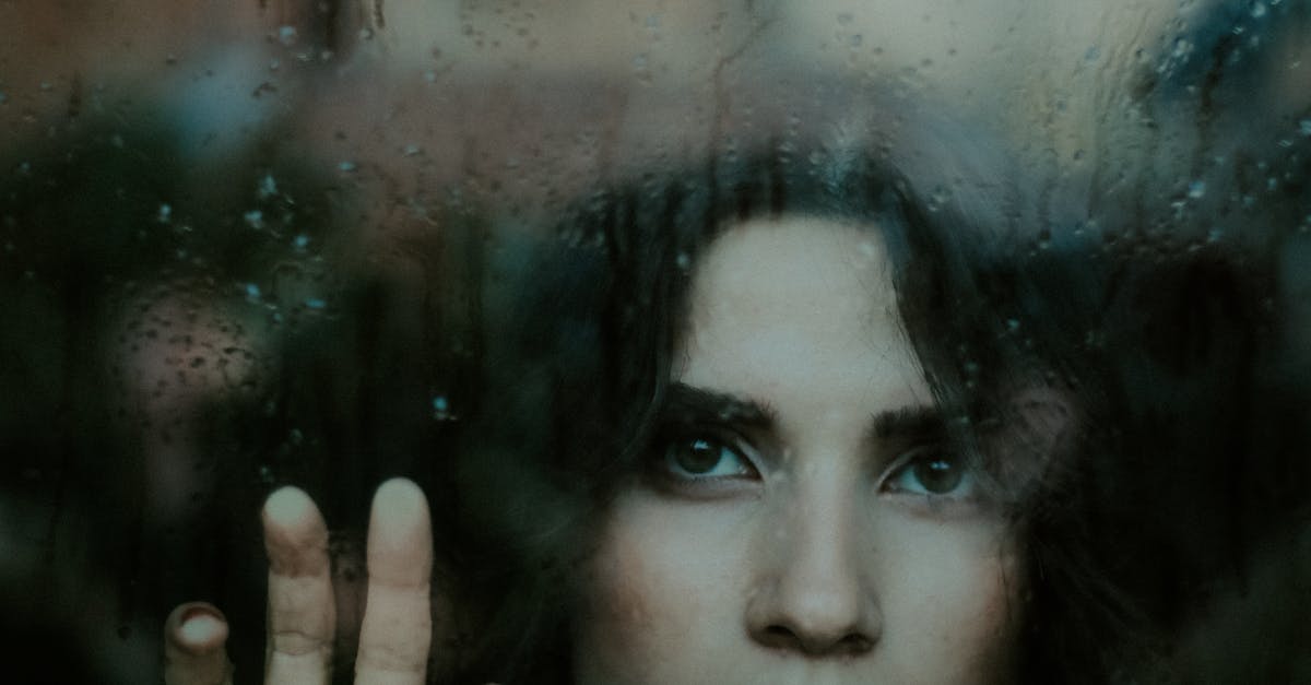 How UV Protection from Window Tinting Enhances Indoor Comfort