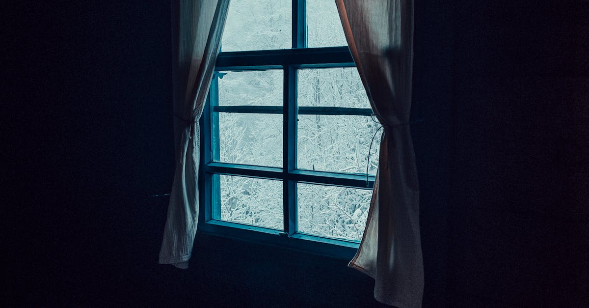 The Impact of Penalties on Window Tinting Businesses in Adelaide