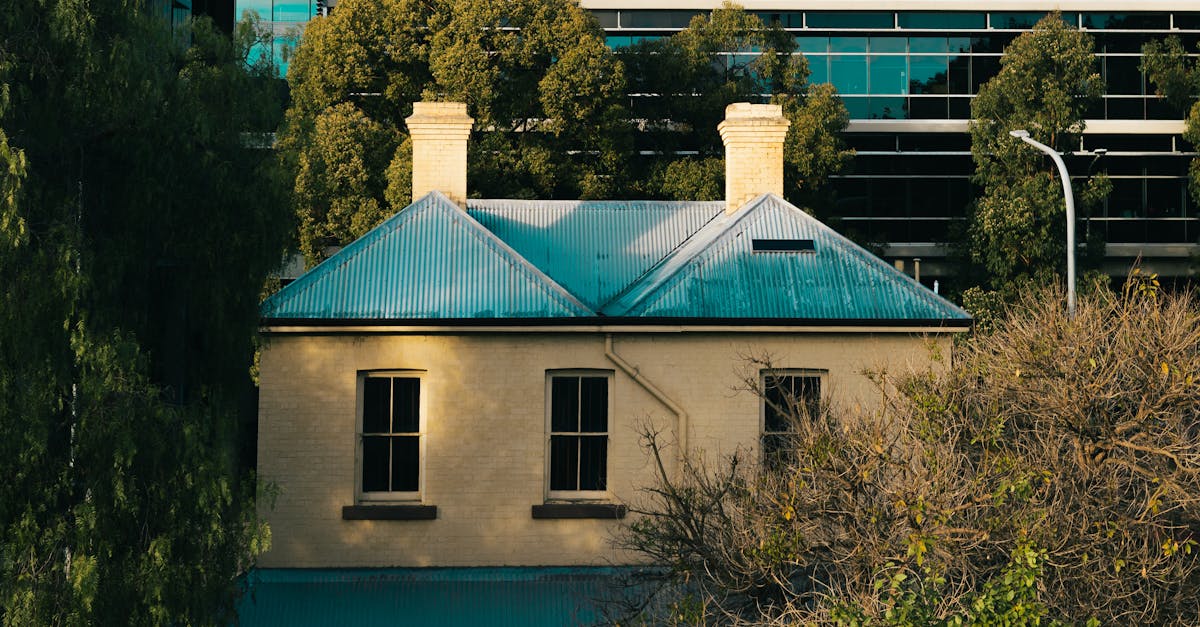 The Role of Australian Standards in Safe Window Tinting Practices