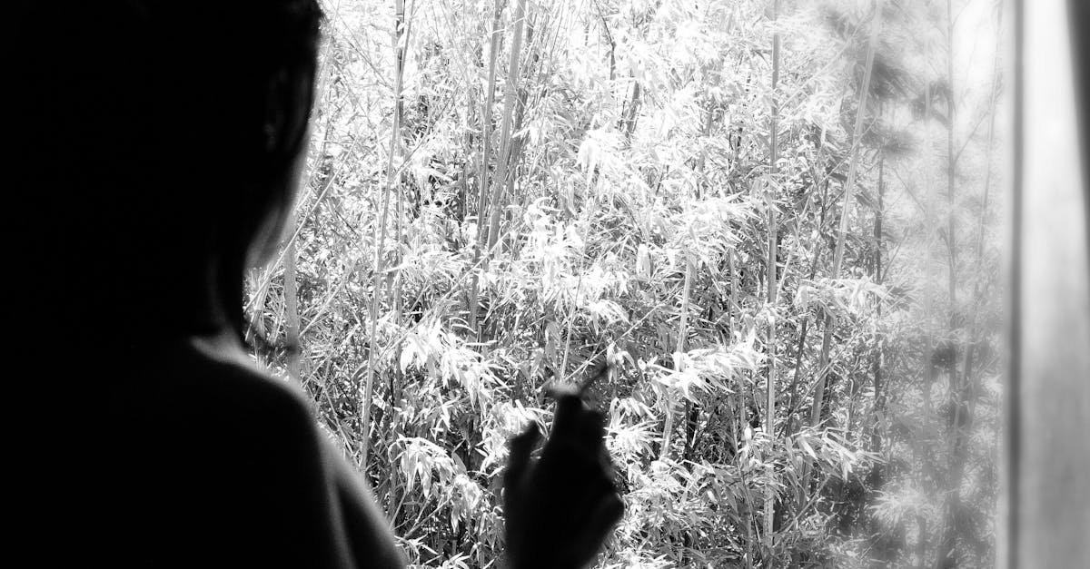 The Role of Safety and Security Window Film in Crime Prevention