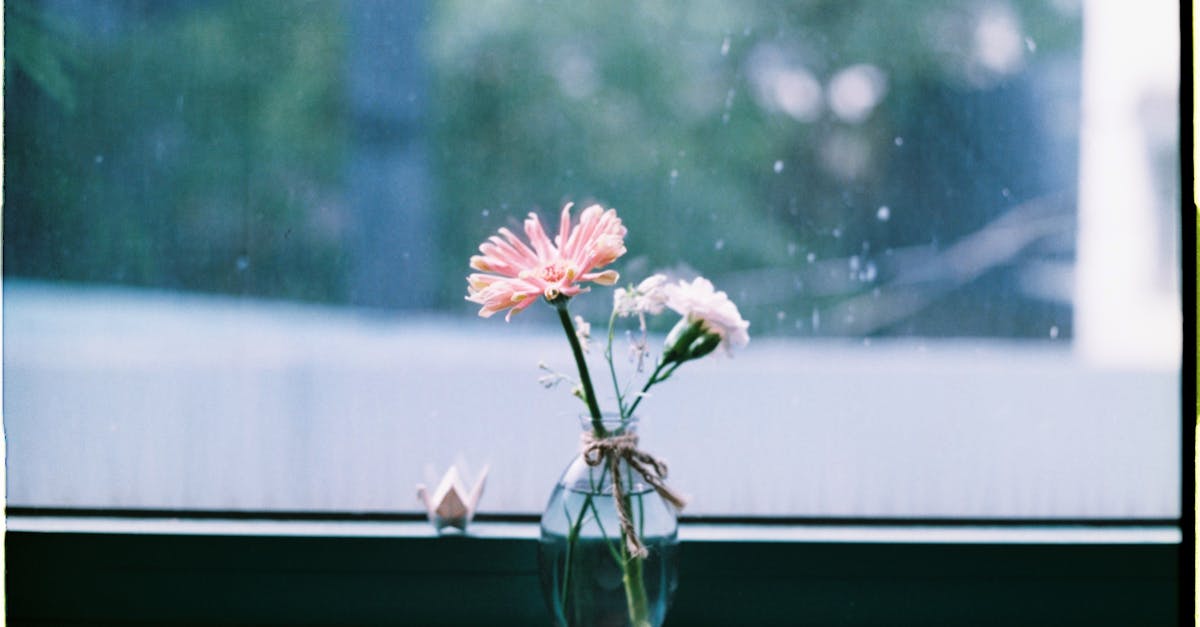 Understanding Australian Standards for Window Tinting Compliance