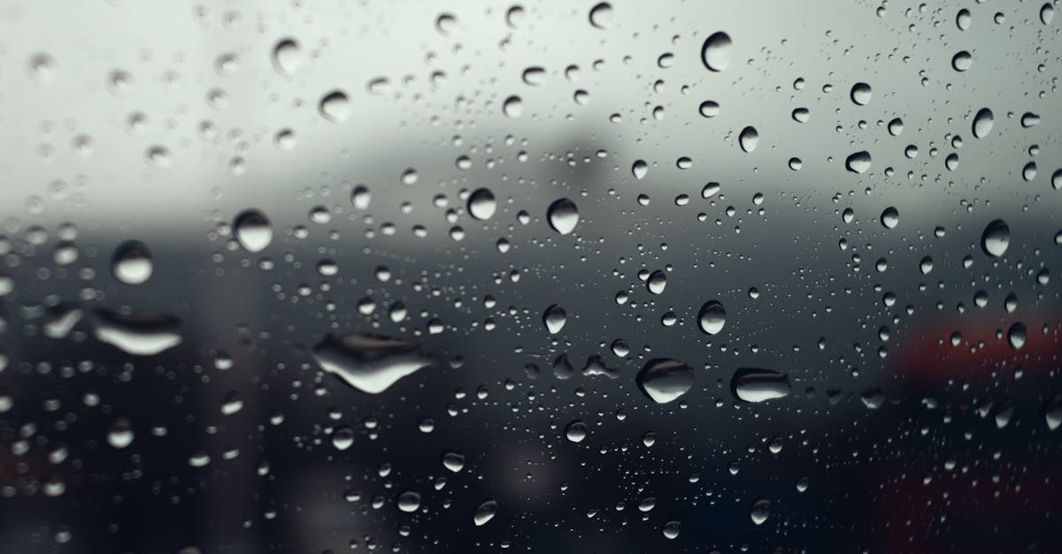 Understanding Special Permits for Window Tinting in Adelaide